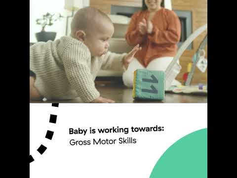 پوستر نکات بازی در فضای حسی بیبی آینشتین برای کودکان 6 ماه به بالا