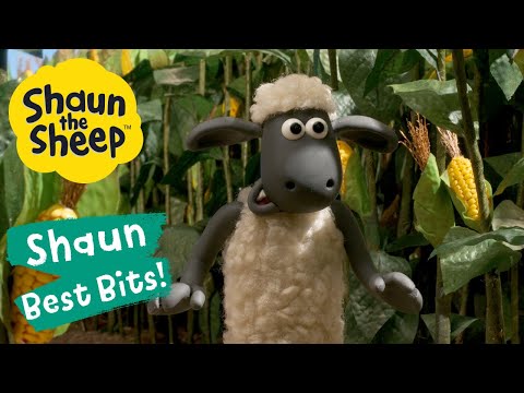 پوستر به دنبال بز خود بروید بهترین قسمت‌های شان گوسفند فصل ۶