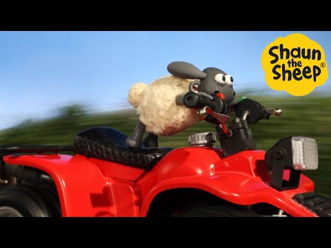 پوستر شان گوسفند 🐑 تیمی می تواند رانندگی کند؟