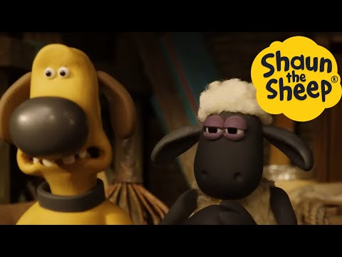 پوستر شان گوسفند 🐑 یواشکی گوسفند