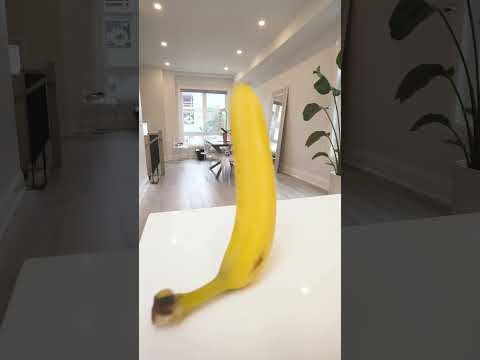 پوستر من به طور جادویی تبدیل به یک موز می‌شوم 🍌 کوتاه