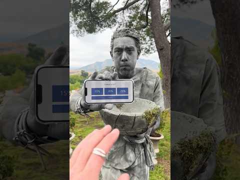 پوستر کارمایی فوری، او پورسان پول نگذاشت؟