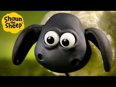 پوستر بره ناقلا 🐑 عملیات حفظ Timmys Teddy