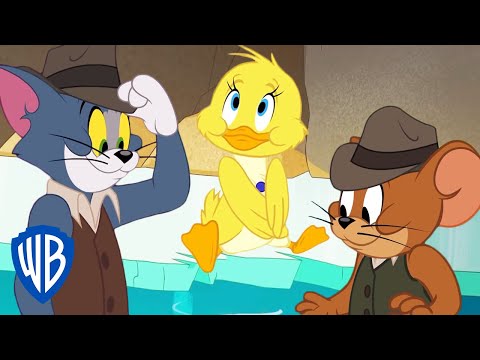 پوستر تام و جری، نگهداری از اردک