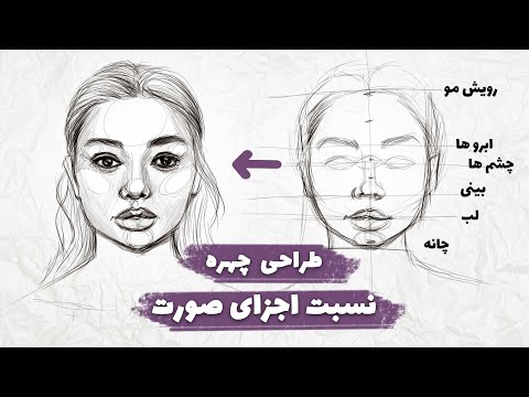 آموزش طراحی چهره: قسمت اول - تناسبات چهره به‌صورت تمام‌رخ