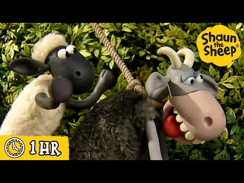 پوستر تعقیب و گریز بز دیوانه 🤪🏃‍♂️