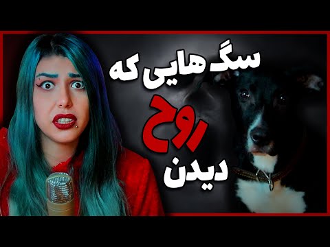 پوستر ❌ارتباط سگ ها با موجودات ماورایی؟! ❌ سگ هایی که روح میبینن