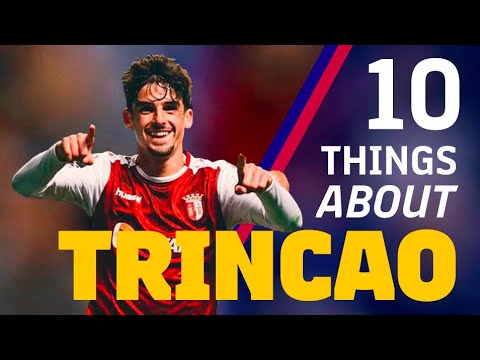 پوستر 10 نکته‌ای که باید درباره ترینکائو بدانید 💥