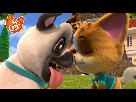 پوستر 44 گربه تری، سگ کوچک، رویای تبدیل شدن به گربه را دنبال...