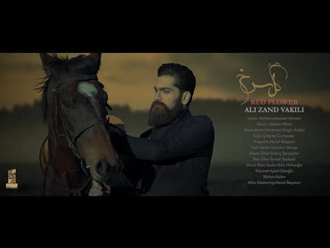 پوستر علی زندوکیلی - گل سرخ تیزر