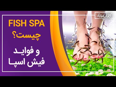 پوستر فیش اسپا چیست و فواید Fish SPA