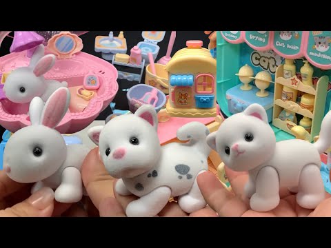 پوستر لذت بردن از باز کردن جعبه‌های Hello Kitty Cat، Cute Puppy و...