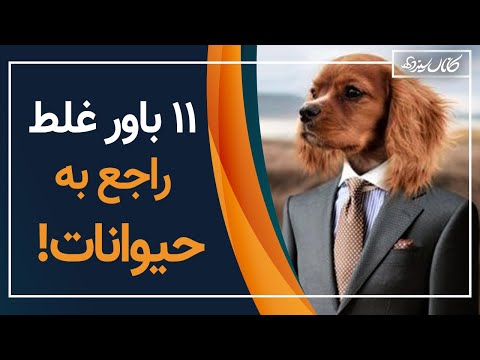 پوستر یازده باور غلط راجع به حیوانات که نمی دانستید! کانال سیزده