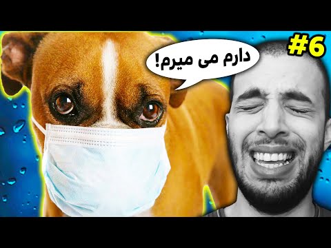 پوستر سگم یاغی بواسیر گرفته و داره می میره 😭 Streamer life...