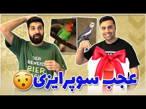 پوستر سورپرایز من برای دوستم 😍 My Surprise Amir