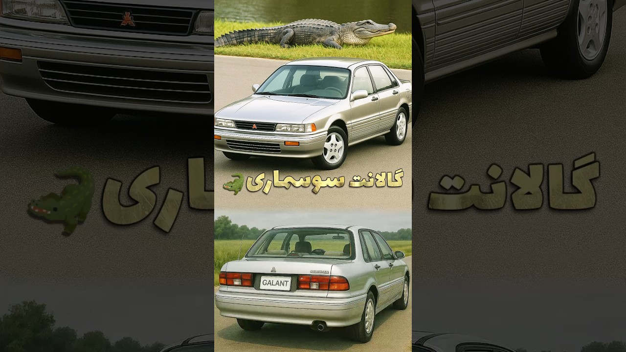 پوستر گالانت سوسماری! 🐊 دلیل لقب بامزه‌شو می‌دونی؟