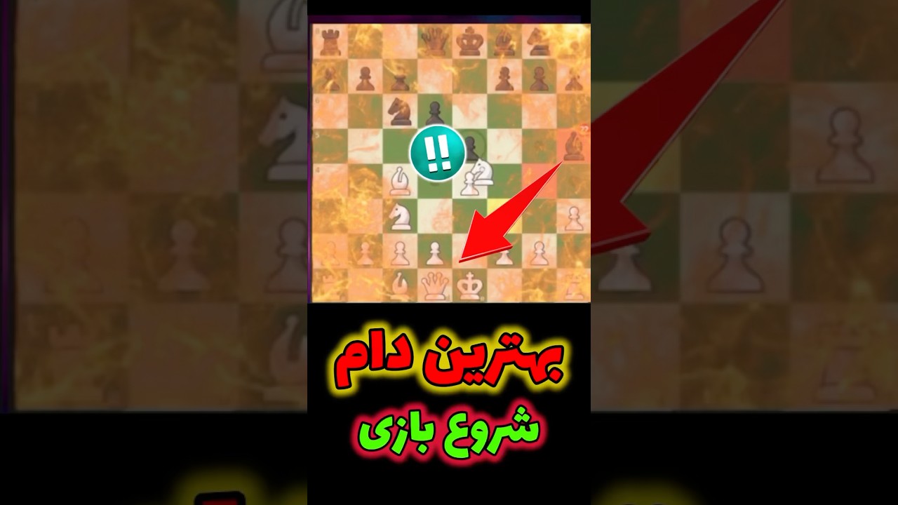 پوستر بهترین دام شروع بازی شطرنج chess