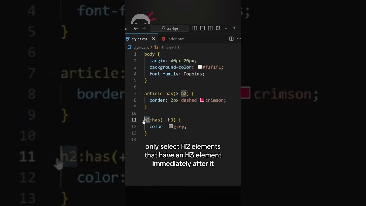پوستر نکته CSS - استفاده از کلاس زودگذر has