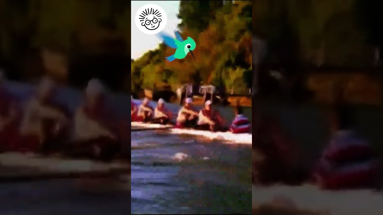 پوستر شناور شدن در آب! بیبی اینشتین آموزش برای کودکان کوتاه