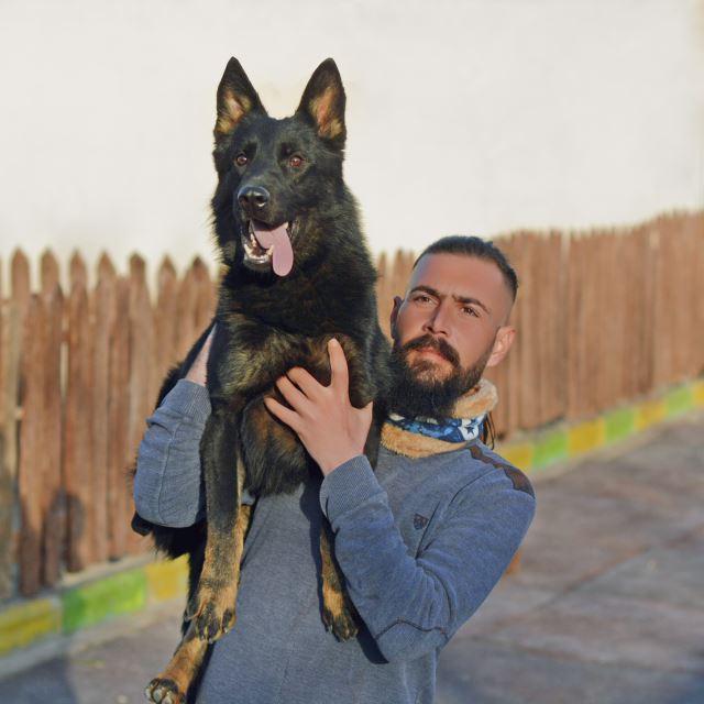 مربی سگ در غرب تهران