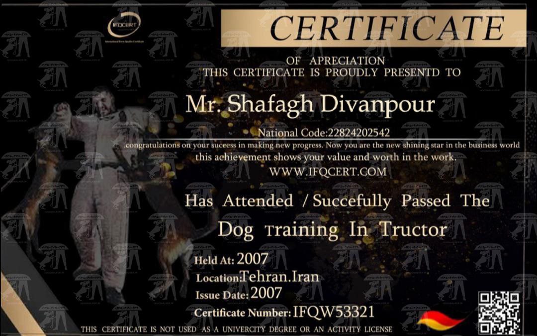 آموزش سگ&nbsp;