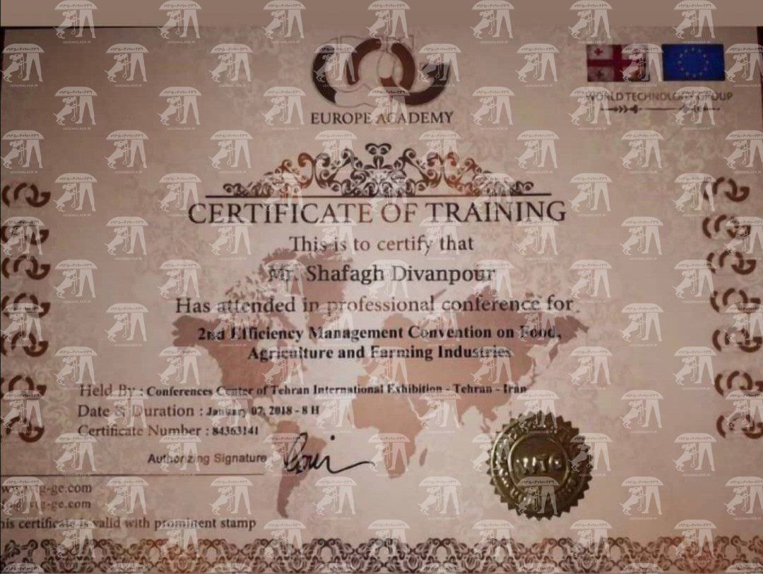 آموزش سگ غرب تهران