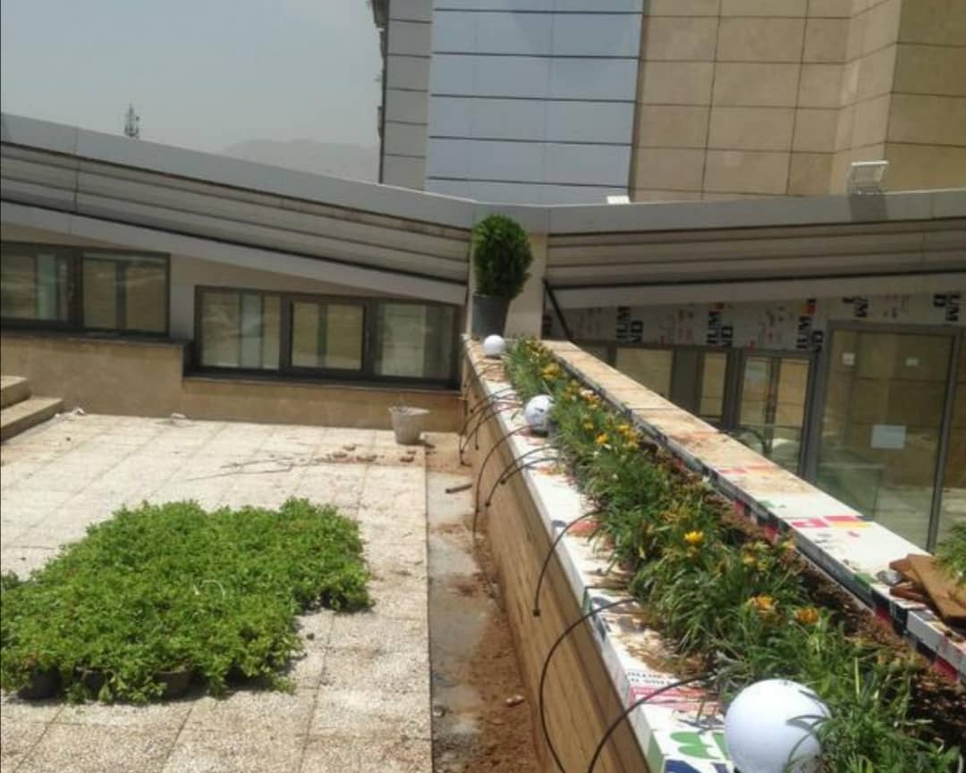 طراحى و اجراى ديوار سبز در تهران