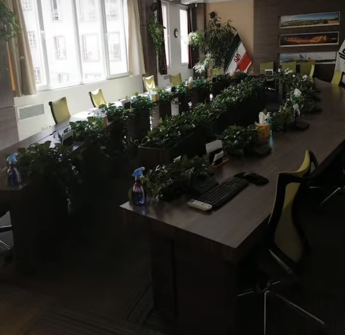 باغچه كارى حياط و ويلا در تهران