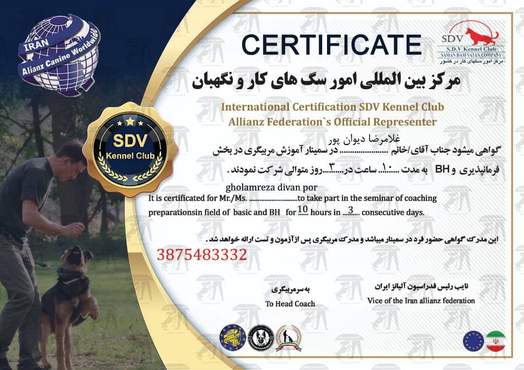 مربی سگ خانگی شمال تهران