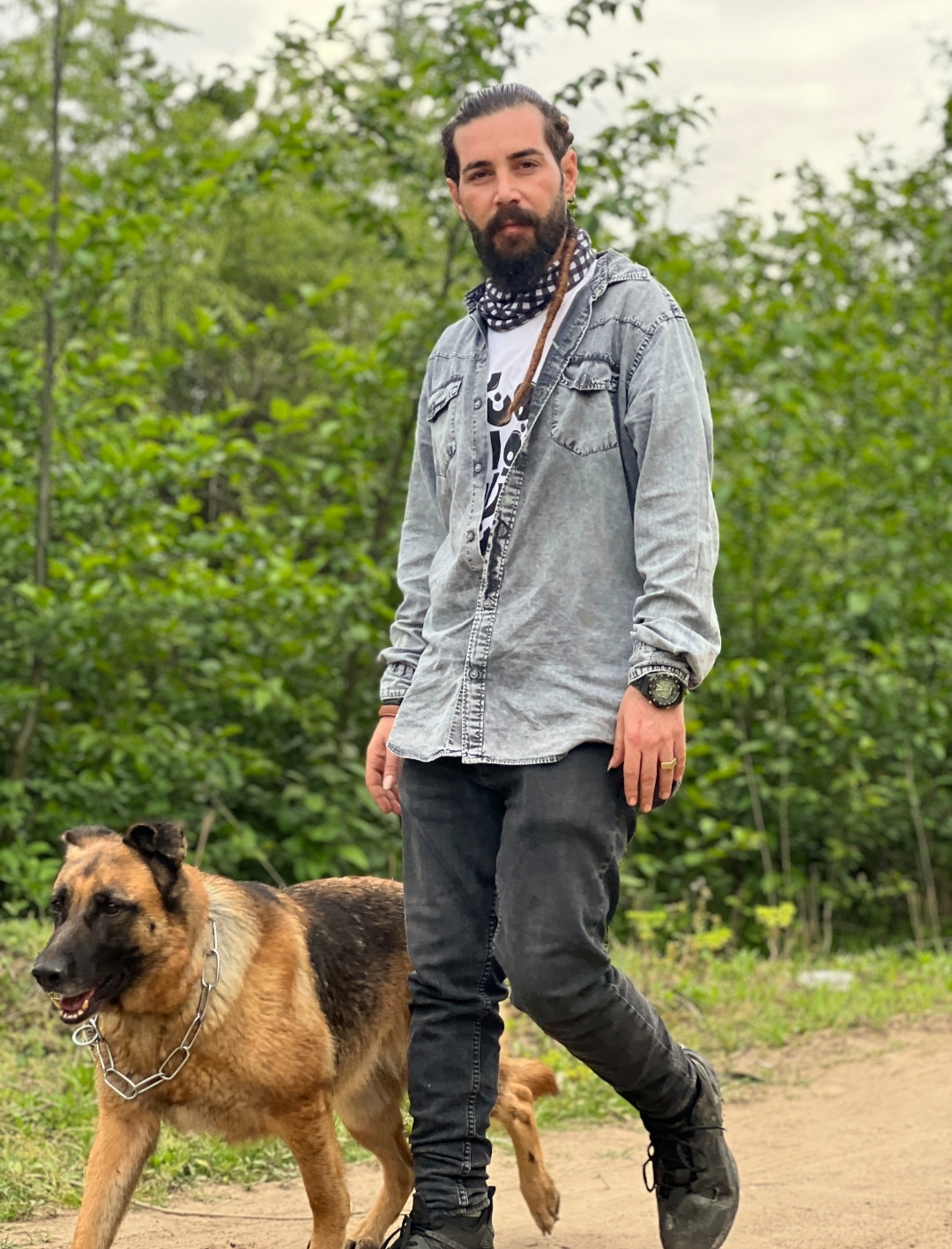 مربی سگ خانگی شمال تهران