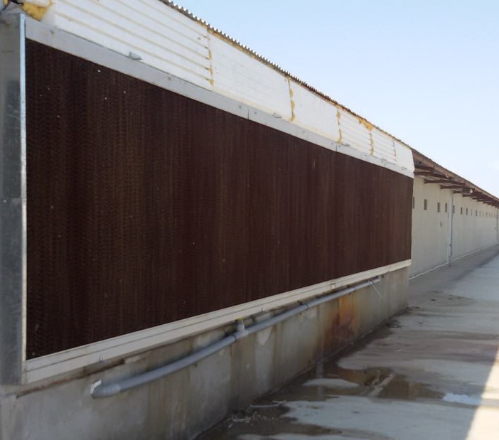 شرکت هوا سلولز/پد مرغداری