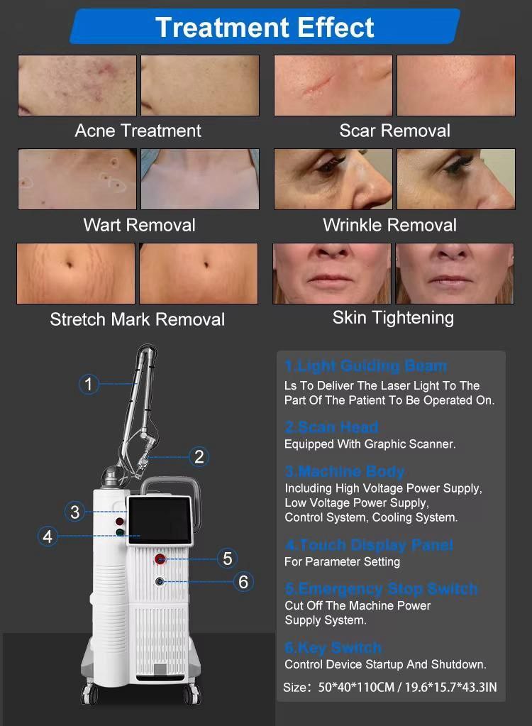 دکتر عفت محمدی