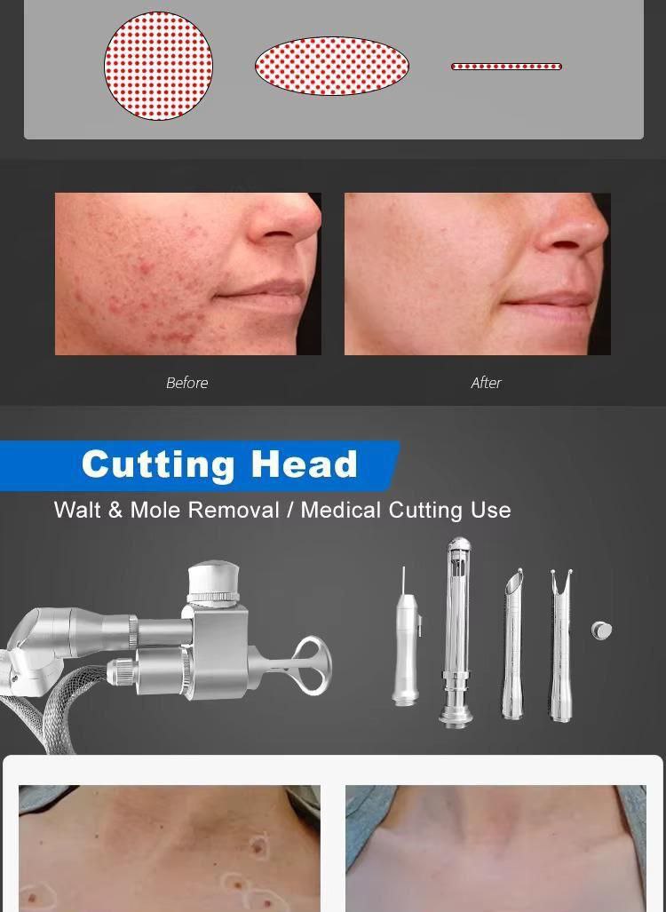 دکتر عفت محمدی