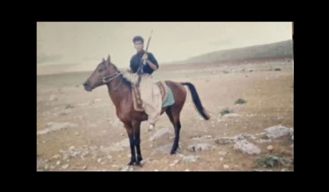 اسب سواری