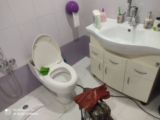 کاملا بهداشتی