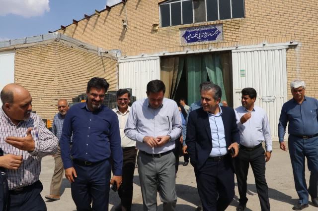 اسپتیک