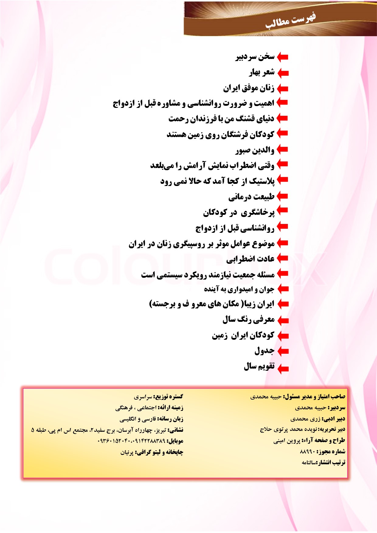 حبیبه محمدی
