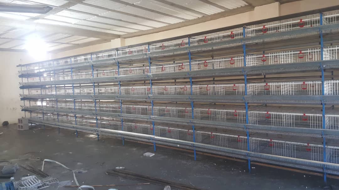 ایران طیور غرب