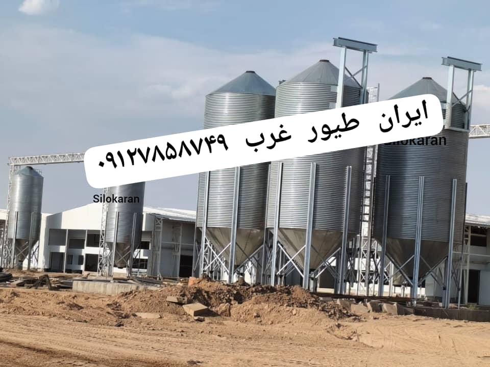 ایران طیور غرب