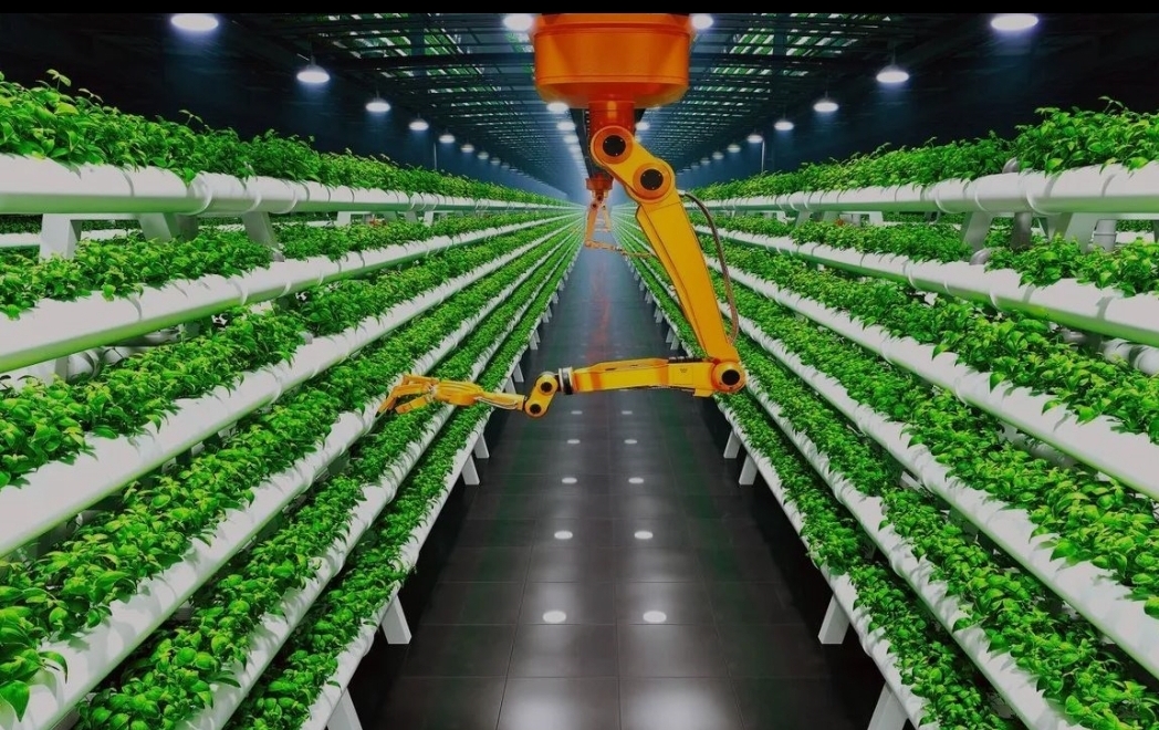 توسعه انتخاب سبز