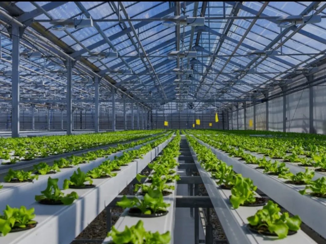 توسعه انتخاب سبز