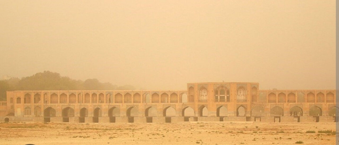 توسعه انتخاب سبز