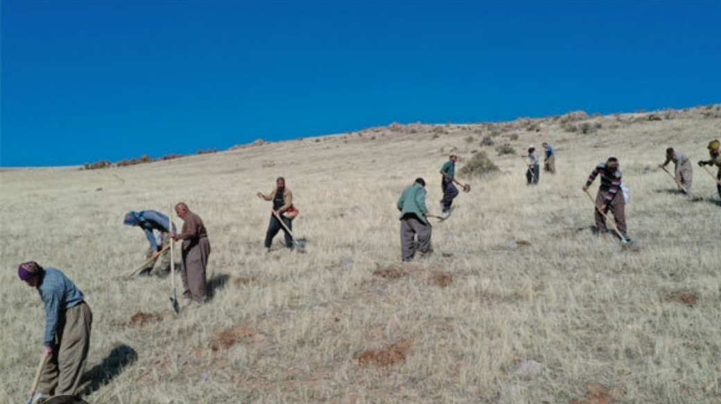 توسعه انتخاب سبز