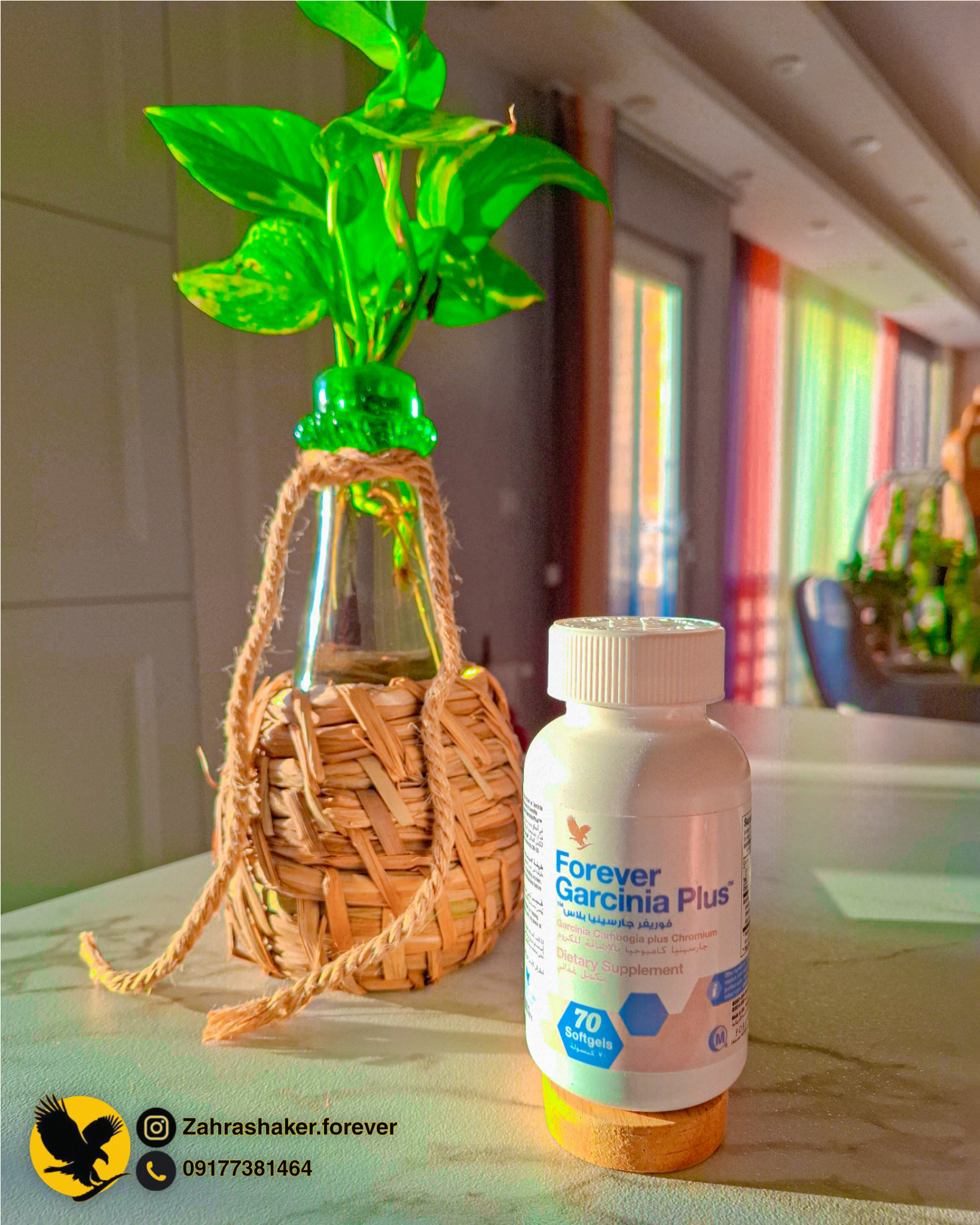 بهترین نمایندگی فوراور در شیراز