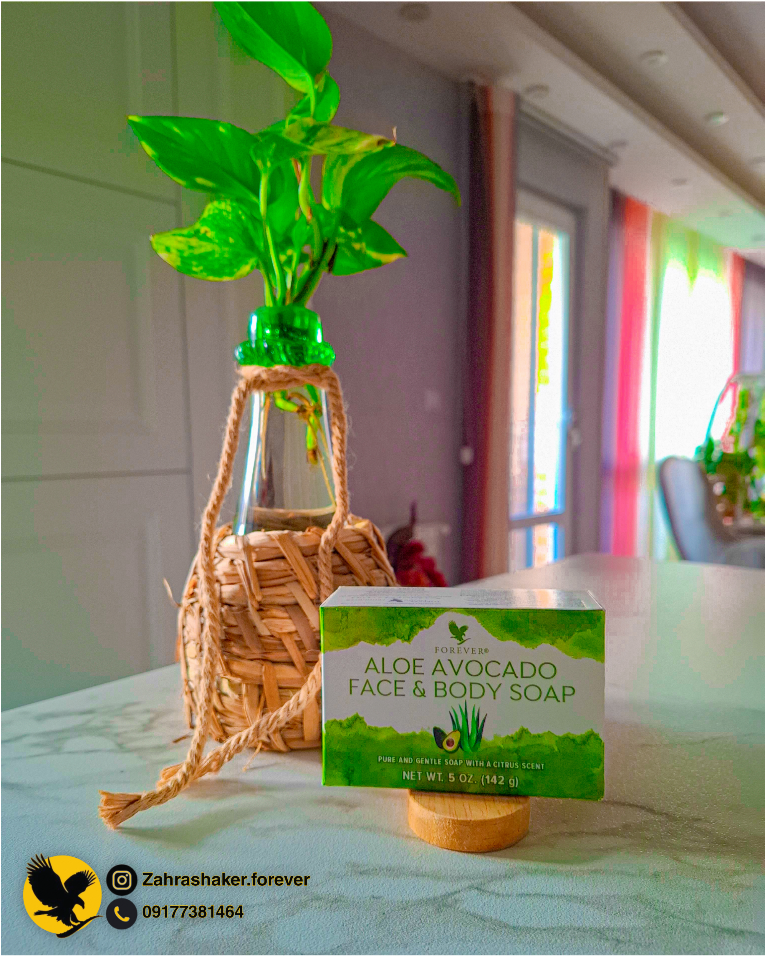 فوراور شیراز