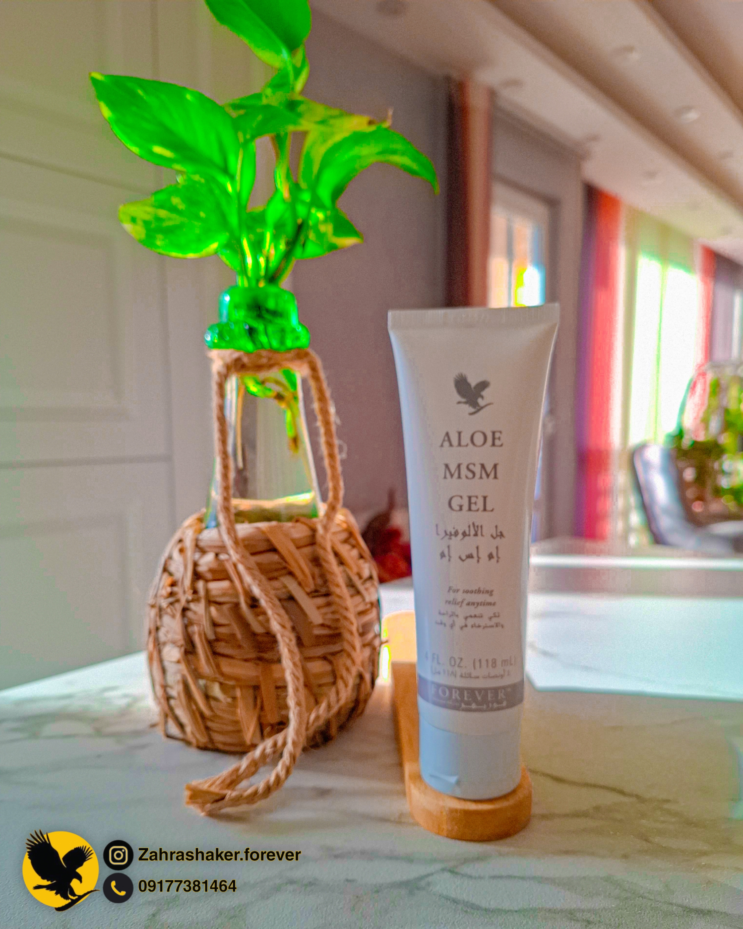 فوراور شیراز