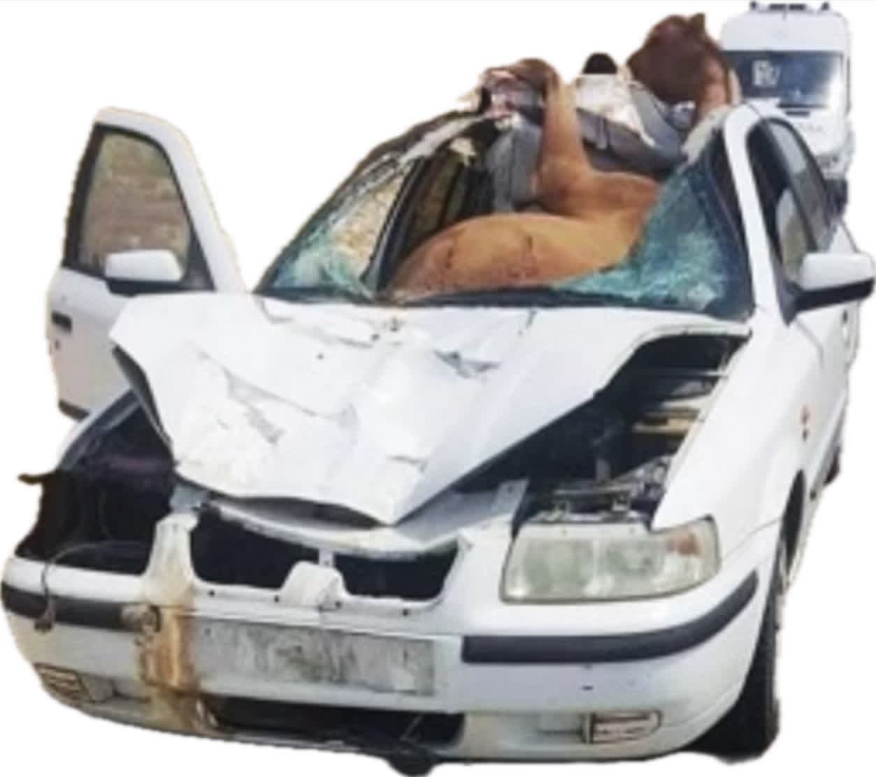 بیمه البرز در اصفهان 09130802608-03136610015