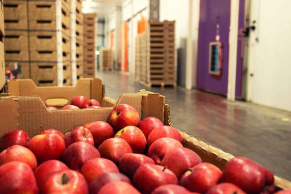 بيمه البرز در اصفهان