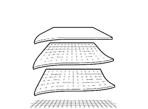 ایزوگام ساینود