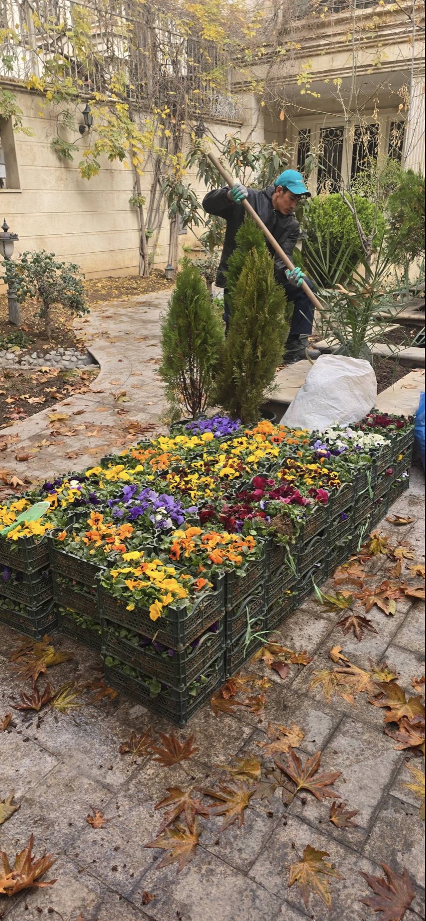 طراحى فضاى سبز در تهران